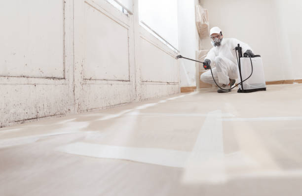 24/7 Emergency Attic Mold Removal experts in Kenilworth, IL